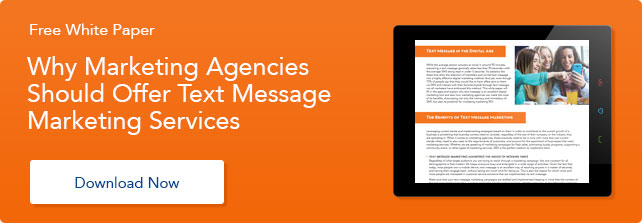 Text Marketing Whitepaper Blog