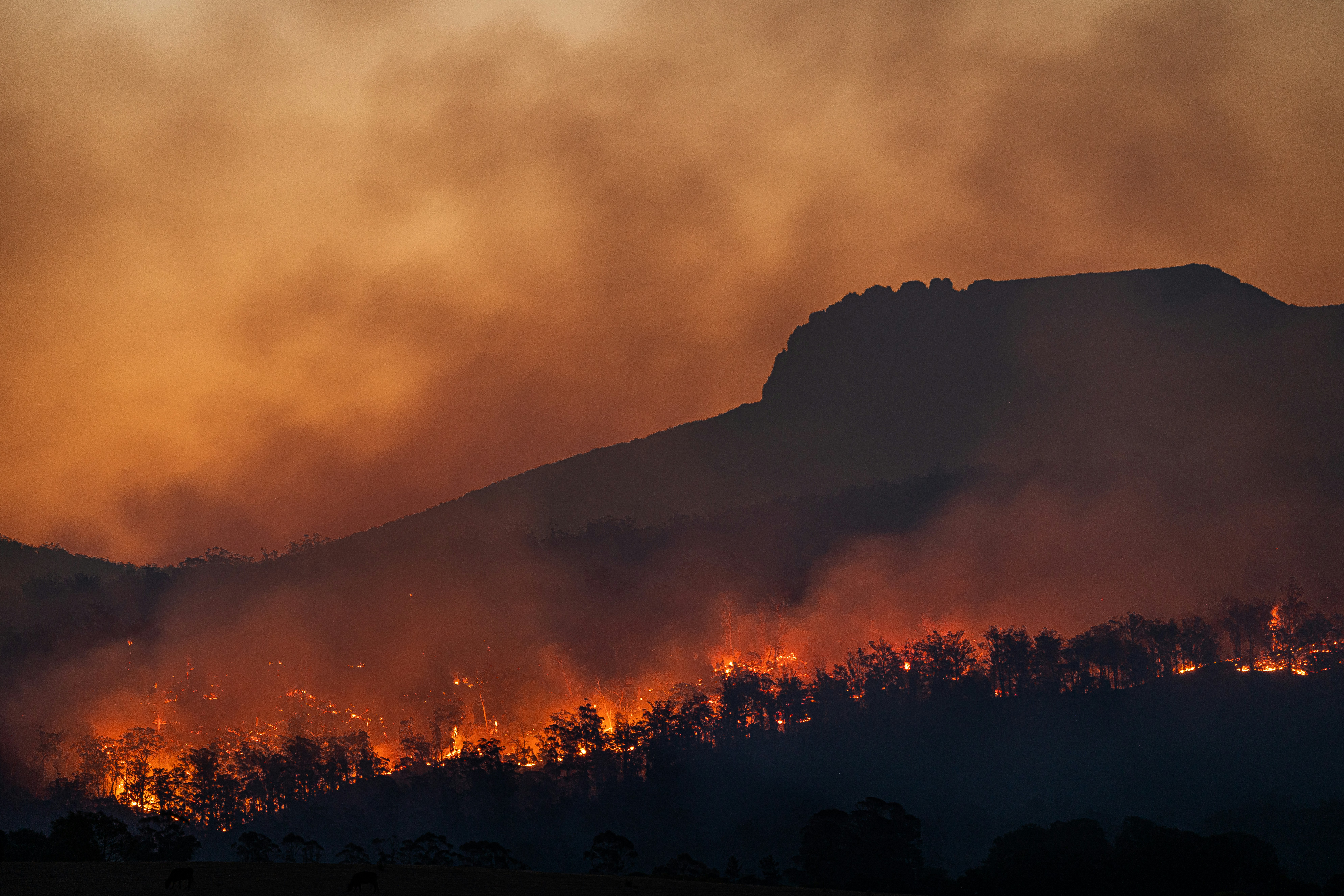 Wildfire Emergency